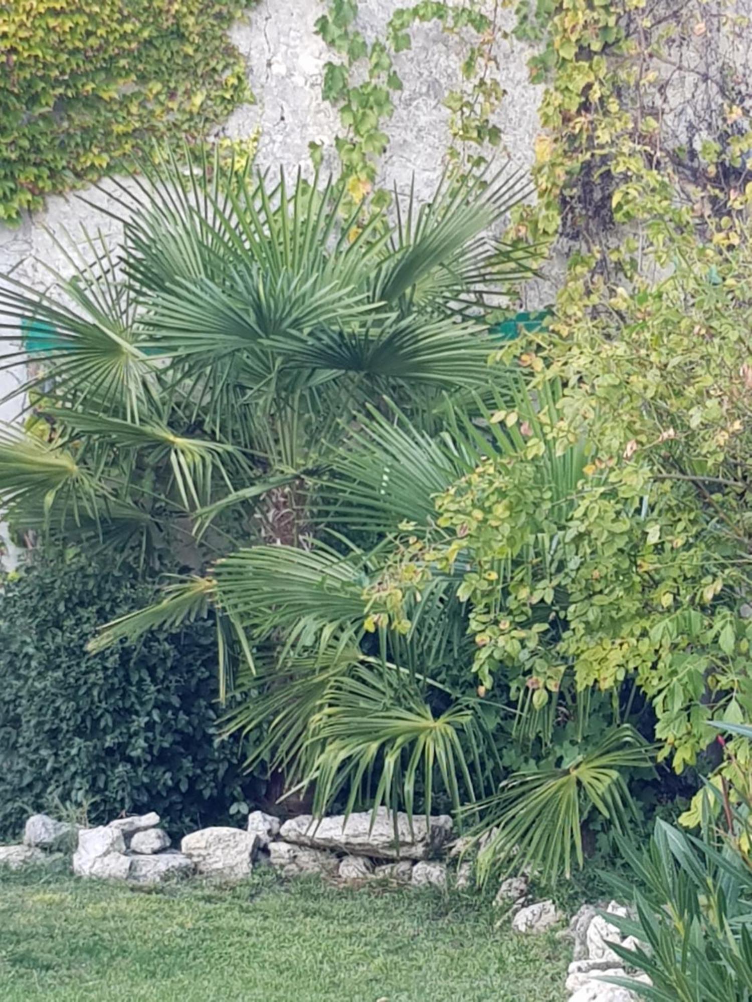 La Maison Malabar Villefranche-du-Queyran エクステリア 写真
